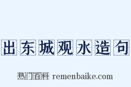 出东城观水造句是什么意思的图片